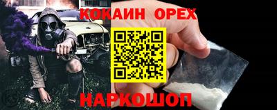 гашик Ливны