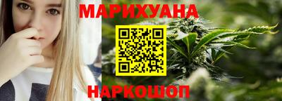 крисы Кулебаки