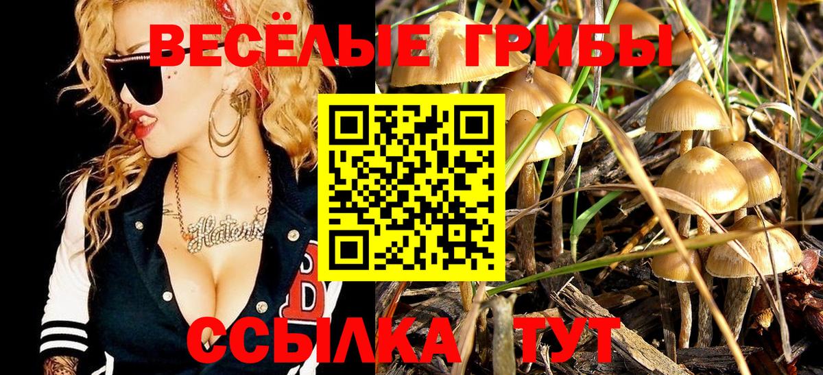 Иваново  Галлюциногенные грибы Magic Shrooms  Вход с VPN  Псилоцибиновые грибы MAGIC MUSHROOMS 