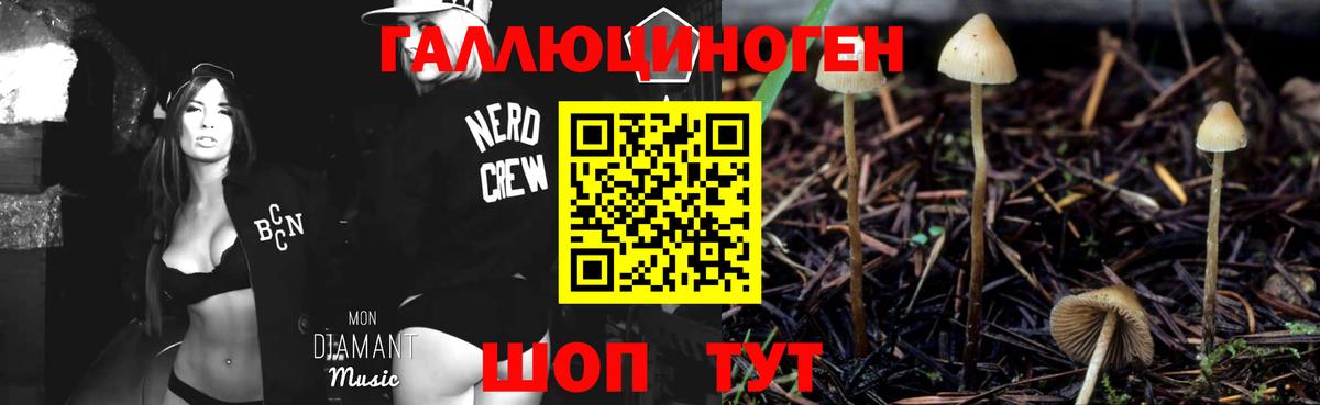 Псилоцибиновые грибы Psilocybine cubensis Иваново